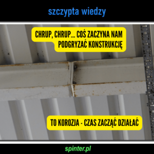 Read more about the article Chrup, chrup…coś zaczyna nam podgryzać konstrukcję.